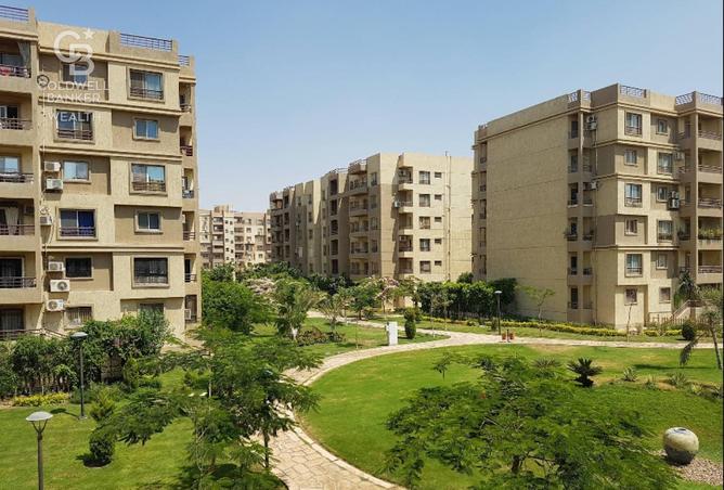 8127552 - Property Image 3