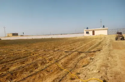مزرعة - استوديو للبيع في طريق القاهرة الأسكندرية الصحراوى - كينج مريوط - حي العامرية - الاسكندرية
