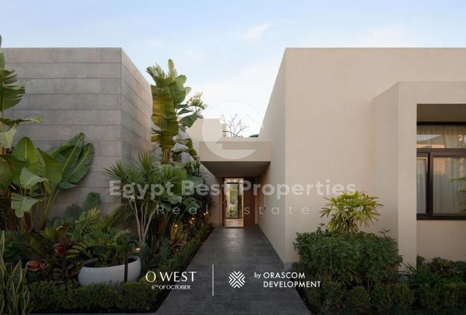 7982725 - صورة العقار 3