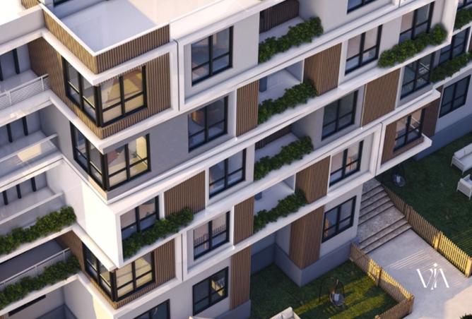 8212952 - Property Image 3