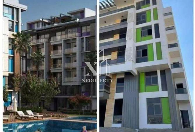 8445835 - صورة العقار 3