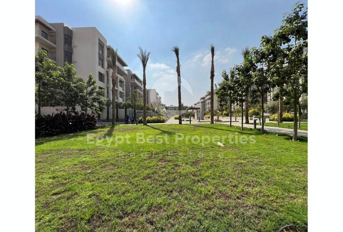 7898348 - Property Image 3