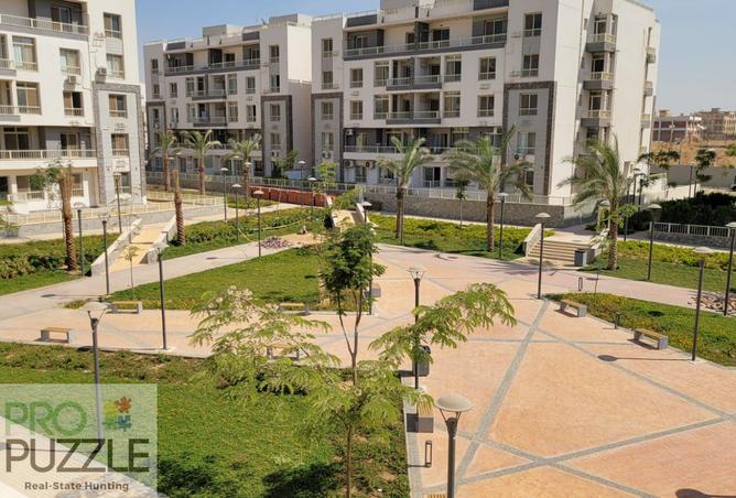 7901445 - صورة العقار 2