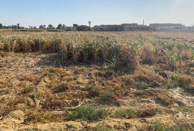 8142155 - صورة العقار 3