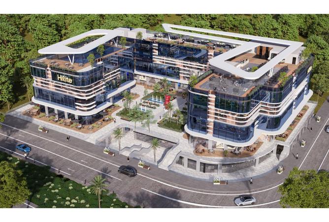 8117164 - Property Image 3