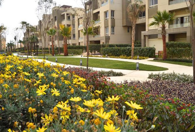 8029501 - Property Image 3
