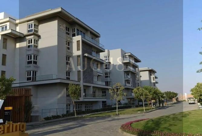 8290141 - Property Image 3