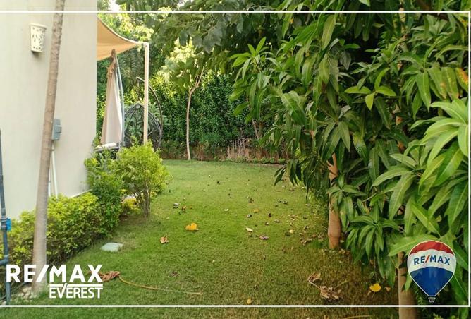 8181884 - Property Image 3