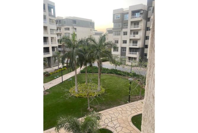 7921079 - Property Image 3
