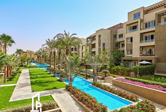 8446277 - Property Image 3