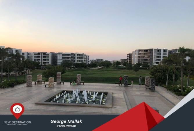 8261447 - Property Image 3