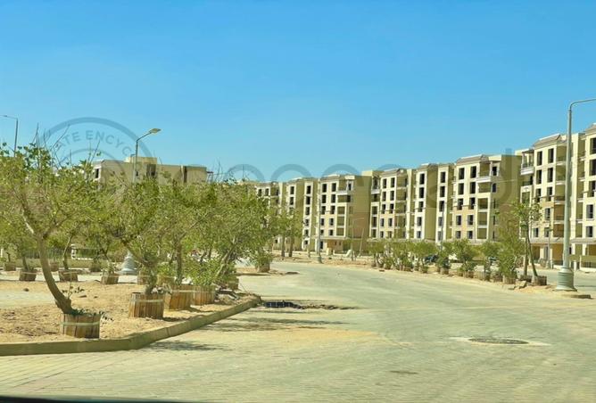 8132126 - Property Main Image