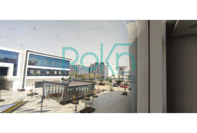 8378341 - Property Image 3