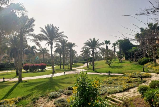 8112009 - صورة العقار 3