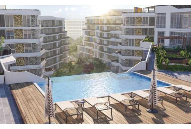 8441884 - Property Image 3