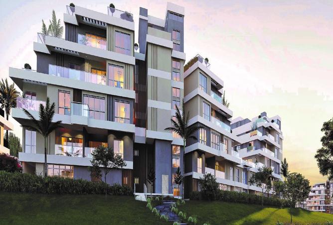 8469139 - Property Image 3