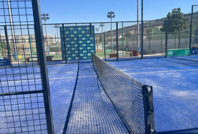 8241603 - Property Image 3