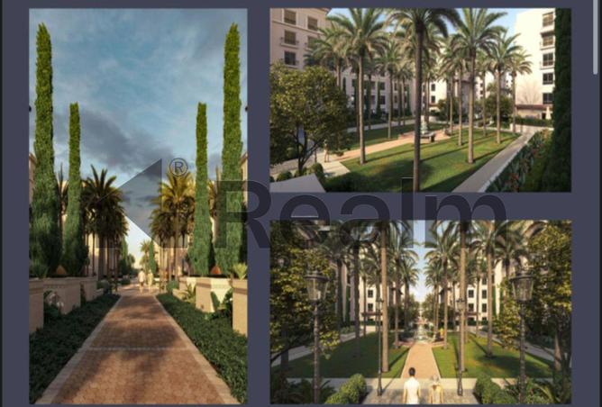 8092325 - Property Image 3