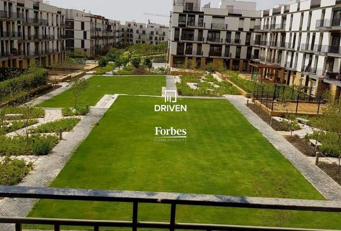 8016674 - Property Image 2