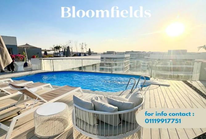 8221046 - Property Image 3