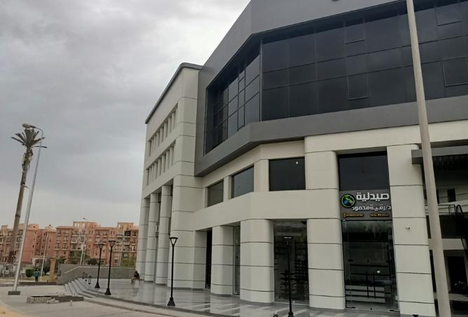 8123500 - صورة العقار 2