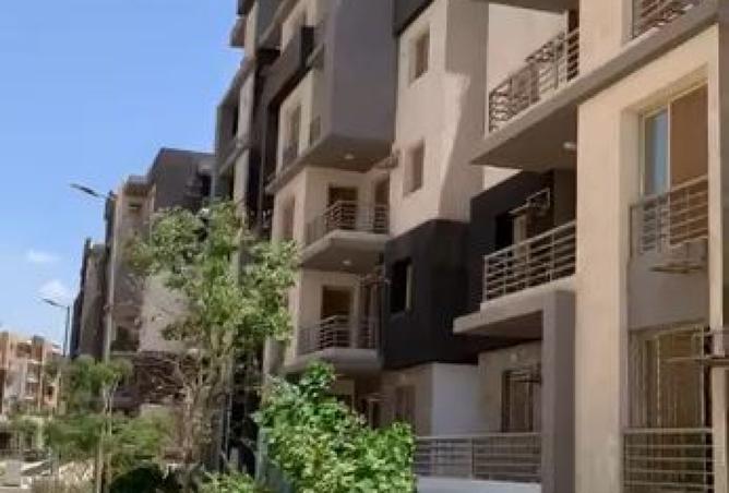 7894959 - Property Image 3