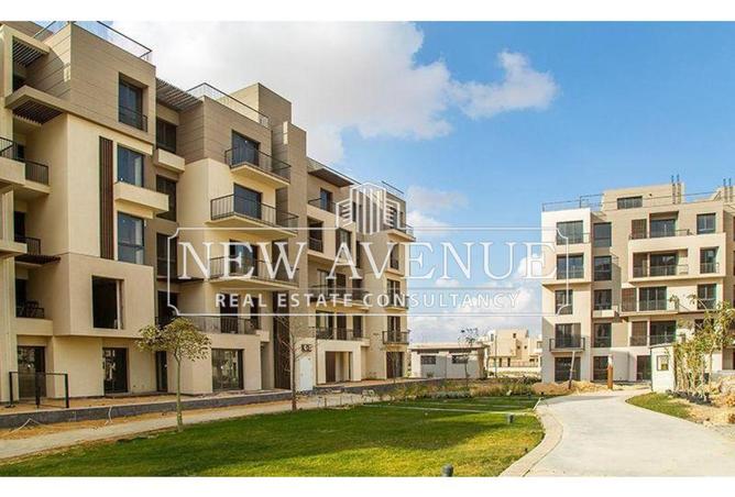 7981383 - Property Image 2