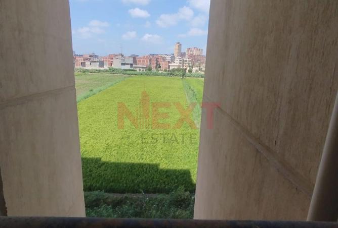 8295594 - صورة العقار 3