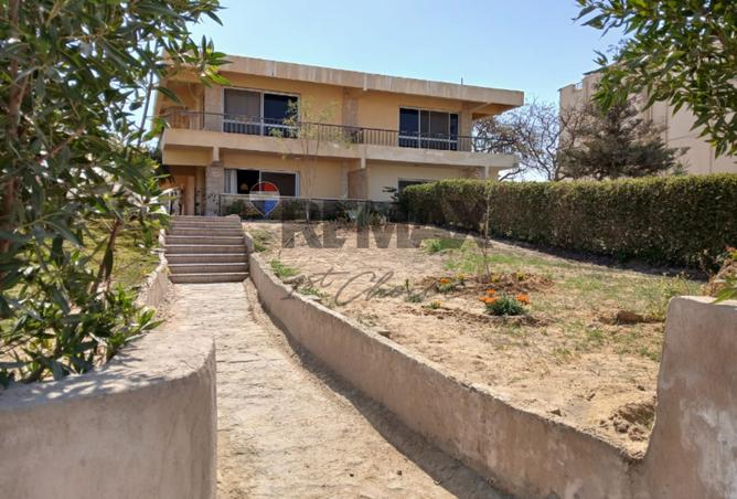 7034338 - الصورة الرئيسية للعقار