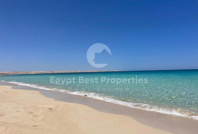 7896417 - Property Image 2