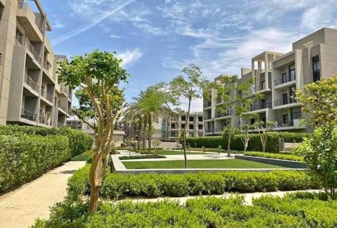 8286399 - Property Image 3