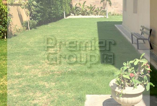 8196078 - Property Image 3