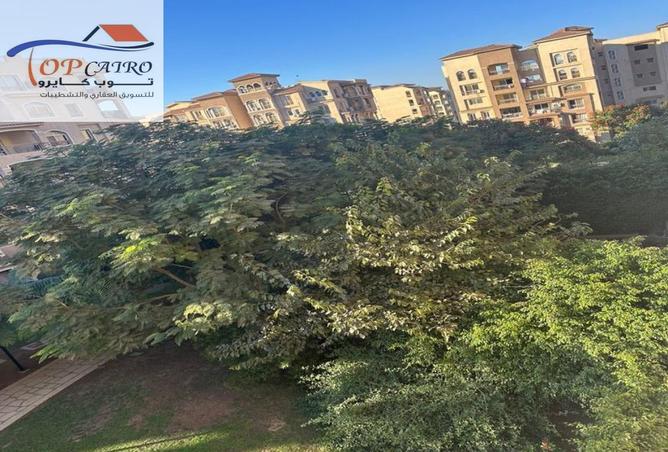 8440635 - Property Image 3