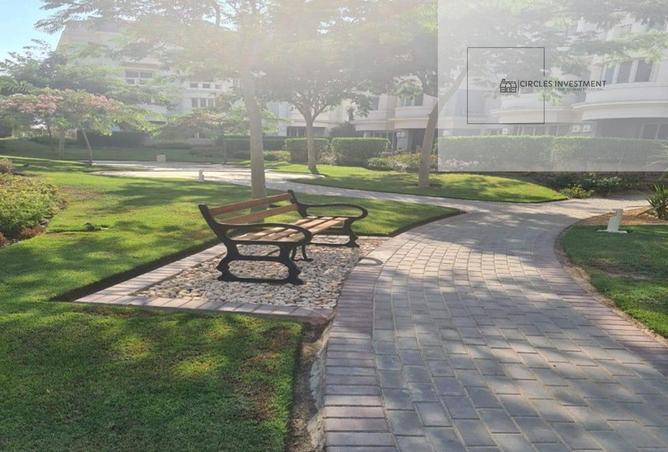 8030316 - Property Image 2