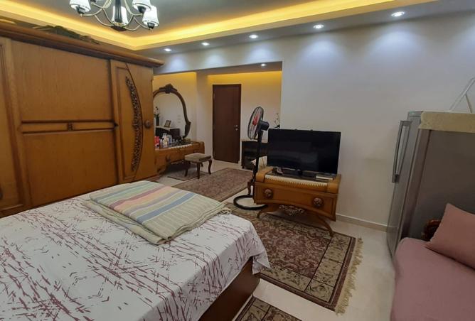 8441368 - Property Image 3