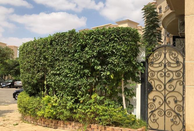 8235686 - صورة العقار 3