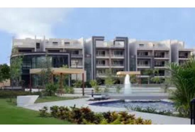 7980545 - Property Image 3