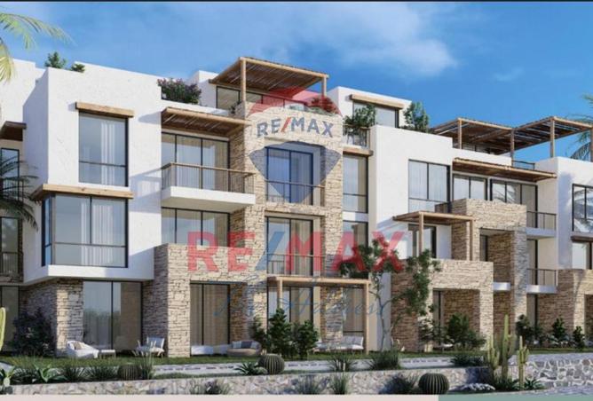 7895067 - Property Image 3