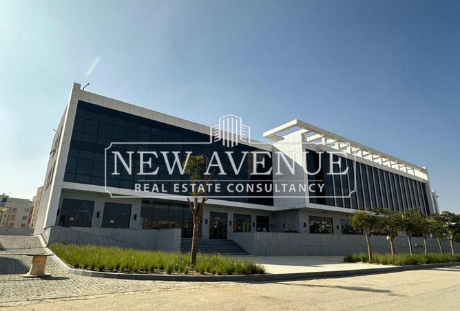 8099250 - Property Image 2