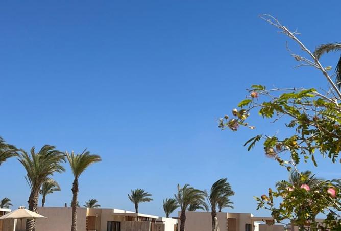 7932565 - Property Image 3