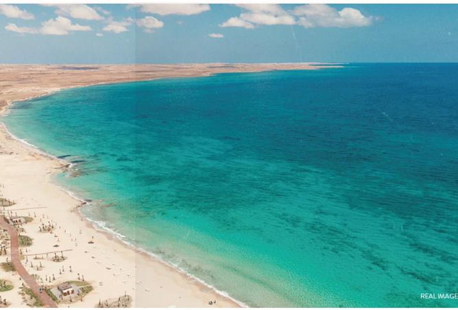 8493607 - صورة العقار 3