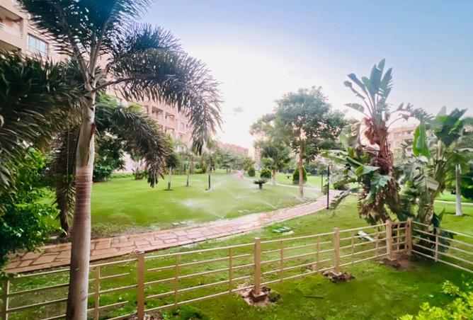 8370019 - صورة العقار 2