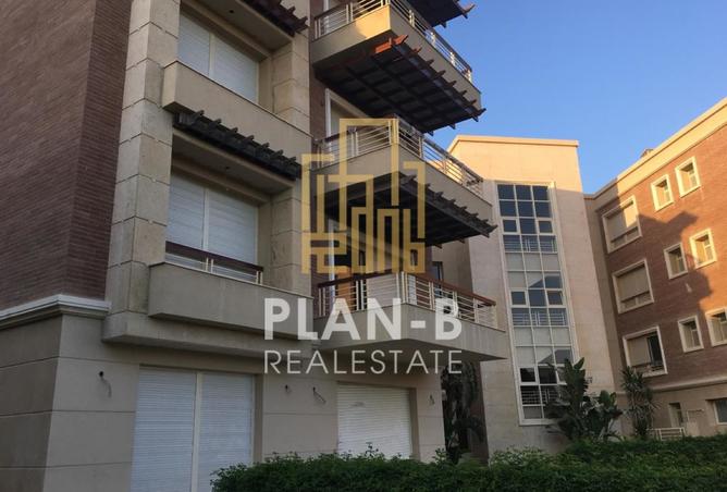 8223480 - Property Image 3