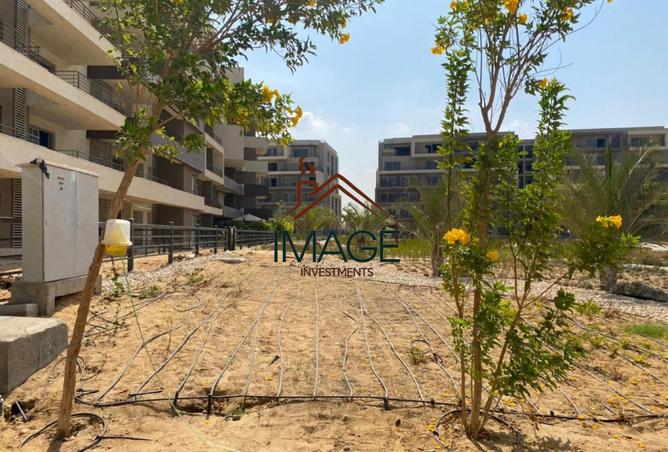 8259185 - صورة العقار 2