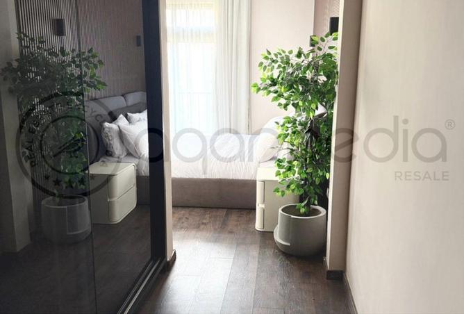 8418794 - Property Image 3