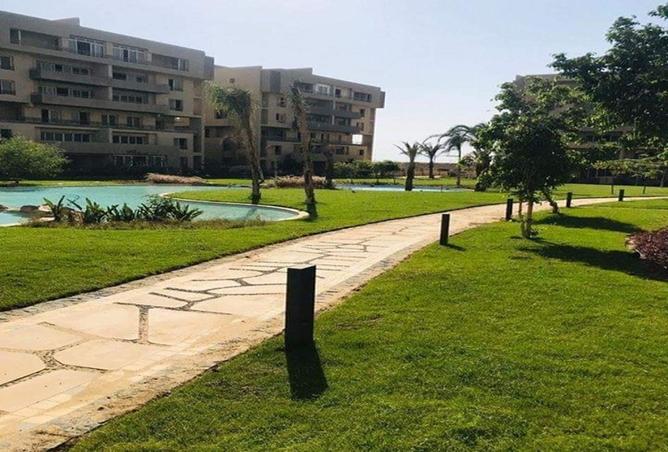 8061986 - صورة العقار 3