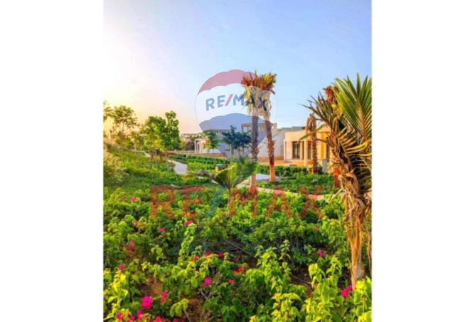 8082743 - الصورة الرئيسية للعقار