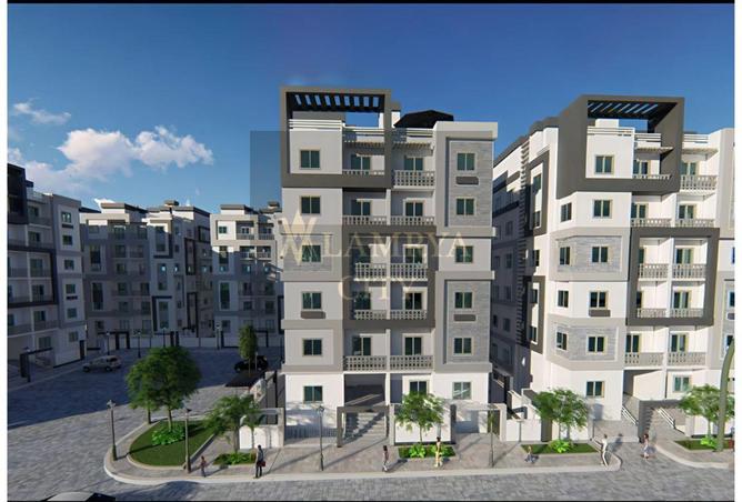 8132006 - Property Image 3