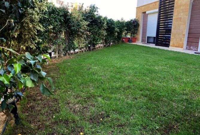 8519463 - صورة العقار 2