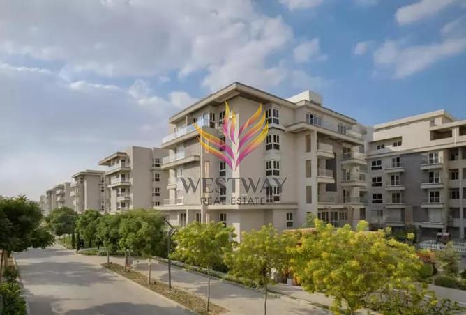 8262527 - Property Image 2